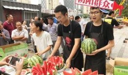 朝阳吃瓜群众,揭秘都市生活百态